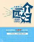 一介匹妇